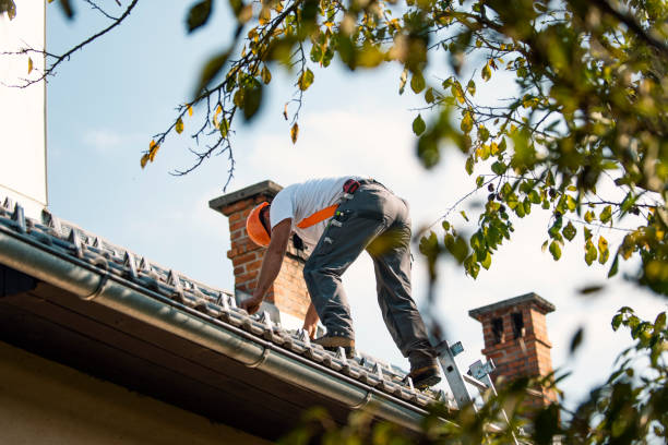 Best Roof Replacement Cost  in Cairo, IL