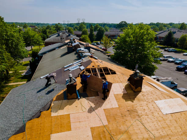 Best Metal Roofing Contractor  in Cairo, IL